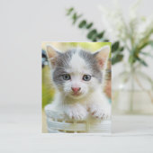 Kitten Rides A Bike Briefkaart (Staand voorkant)