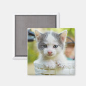 Kitten Rides A Bike Magneet (Voorkant / Achterkant)