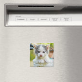 Kitten Rides A Bike Magneet (Insitu (Vaatwasser))