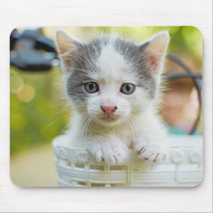 Kitten Rides A Bike Muismat
