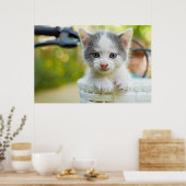 Kitten Rides A Bike Poster (Keuken)