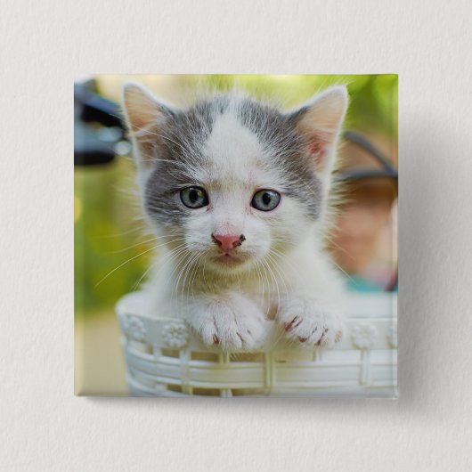 Kitten Rides A Bike Vierkante Button 5,1 Cm (Voorkant)