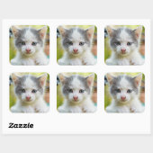 Kitten Rides A Bike Vierkante Sticker (Vel)