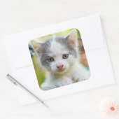 Kitten Rides A Bike Vierkante Sticker (Envelop)