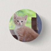 Kitten Ronde Button 3,2 Cm (Voorkant)