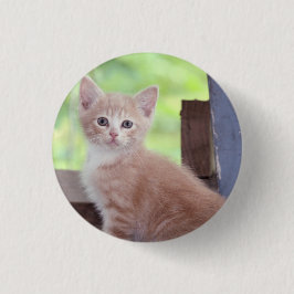 Kitten Ronde Button 3,2 Cm
