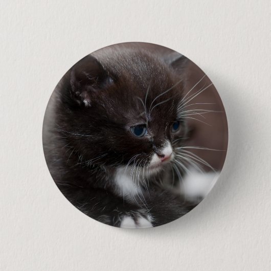 Kitten Ronde Button 5,7 Cm (Voorkant)