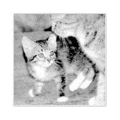 Kitten Rubberstempel (Afrduk)