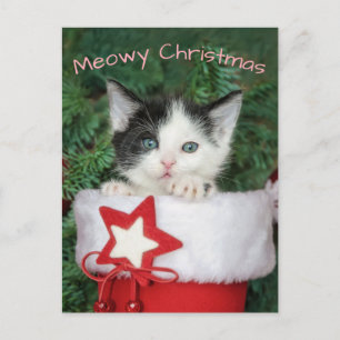 Kitten Santa Claus Boot Stocking Meowy Kerstmis - Feestdagenkaart