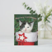 Kitten Santa Claus Boot Stocking Meowy Kerstmis - Feestdagenkaart (Staand voorkant)