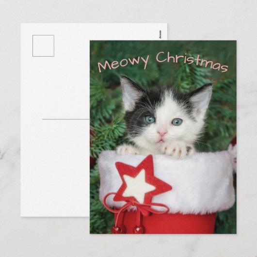 Kitten Santa Claus Boot Stocking Meowy Kerstmis - Feestdagenkaart (Voorkant / Achterkant)