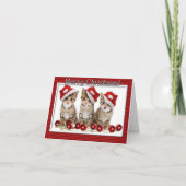 Kitten Santas Kaart kerstnoot (Voorkant)