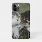 Kitten, Schattige, Natuur Case-Mate iPhone Case (Achterkant)