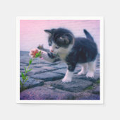 Kitten Servet (Voorkant)