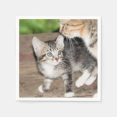 Kitten Servet (Voorkant)