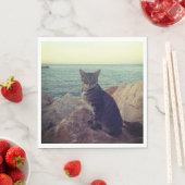 Kitten Servet (Insitu)