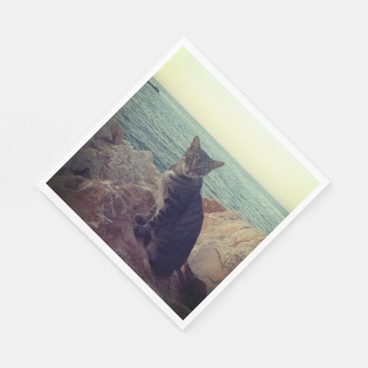 Kitten Servet (Hoek)