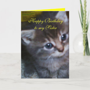 KITTEN, SISTER BIRTHDAY CARD KAART
