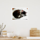Kitten slaapt op White Comforter Poster (Keuken)