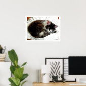 Kitten slaapt op White Comforter Poster (Thuiskantoor)
