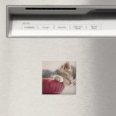 Kitten Slapen in Bowl Magneet (Insitu (Vaatwasser))