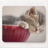 Kitten Slapen in Bowl Muismat (Voorkant)