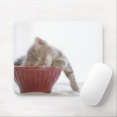 Kitten Slapen in Bowl Muismat (Met muis)