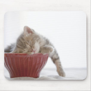 Kitten Slapen in Bowl Muismat