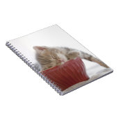 Kitten Slapen in Bowl Notitieboek (Rechterzijde)