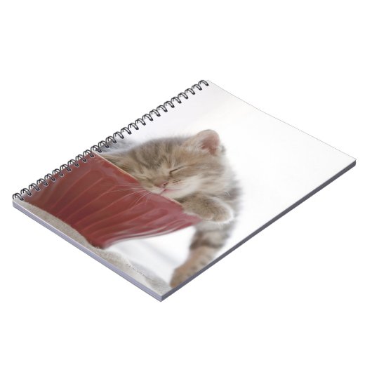 Kitten Slapen in Bowl Notitieboek (Linkerzijde)