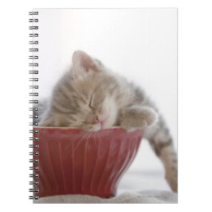 Kitten Slapen in Bowl Notitieboek