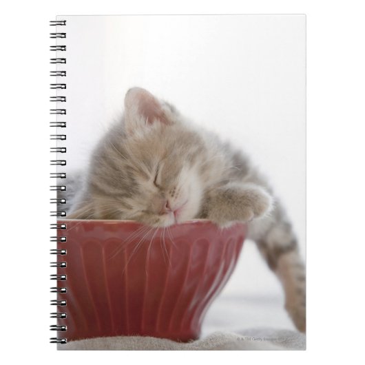Kitten Slapen in Bowl Notitieboek (Voorkant)