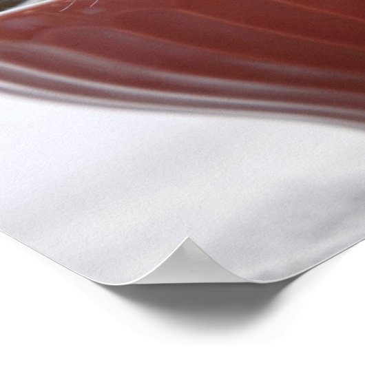 Kitten Slapen in Bowl Poster (Hoek)