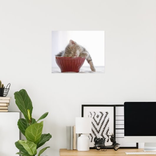 Kitten Slapen in Bowl Poster (Thuiskantoor)