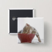 Kitten Slapen in Bowl Vierkante Button 5,1 Cm (Voorkant /achterkant)