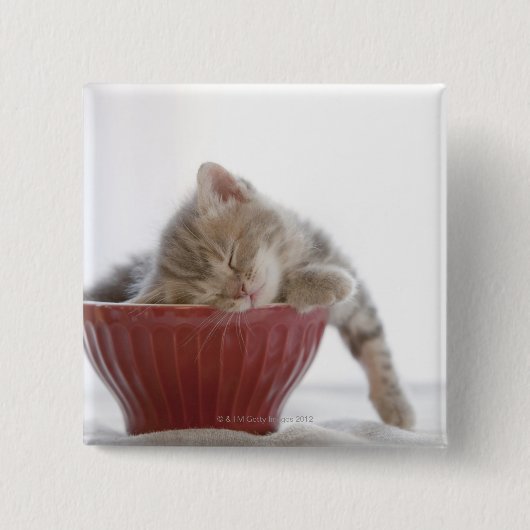 Kitten Slapen in Bowl Vierkante Button 5,1 Cm (Voorkant)