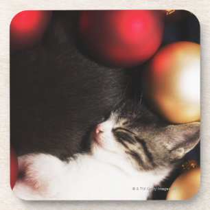Kitten slapen in decoraties onderzetter