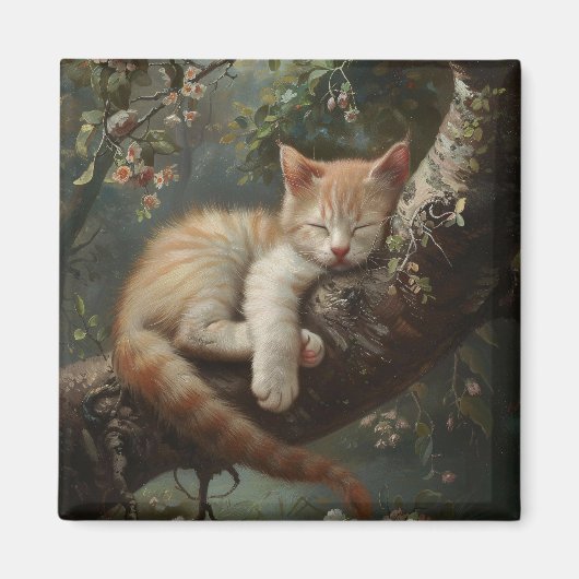 Kitten slapen in een boom magneet (Voorkant)