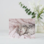 Kitten Sleeping op handdoek Briefkaart (Staand voorkant)