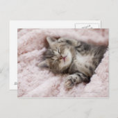 Kitten Sleeping op handdoek Briefkaart (Voorkant / Achterkant)