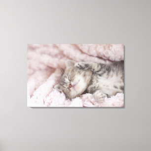 Kitten Sleeping op handdoek Canvas Afdruk
