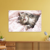 Kitten Sleeping op handdoek Canvas Afdruk (Insitu (Woonkamer))