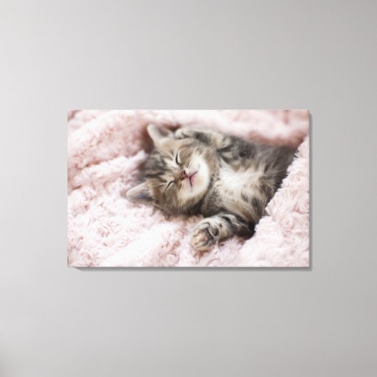 Kitten Sleeping op handdoek Canvas Afdruk (Voorkant)