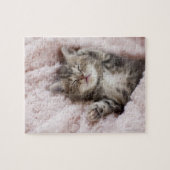 Kitten Sleeping op handdoek Legpuzzel (Horizontaal)