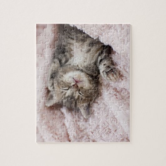 Kitten Sleeping op handdoek Legpuzzel (Verticaal)