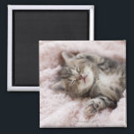 Kitten Sleeping op handdoek Magneet<br><div class="desc">Kitten Sleeping op handdoek | C.O.T/a.collectionRF | AssetID: 108746250</div>