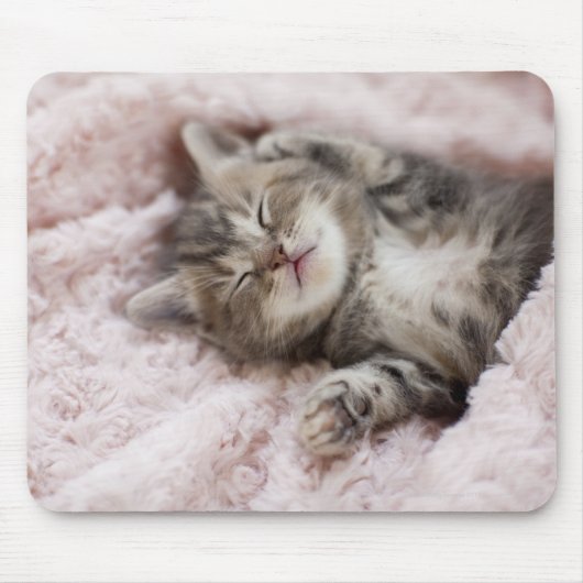 Kitten Sleeping op handdoek Muismat (Voorkant)