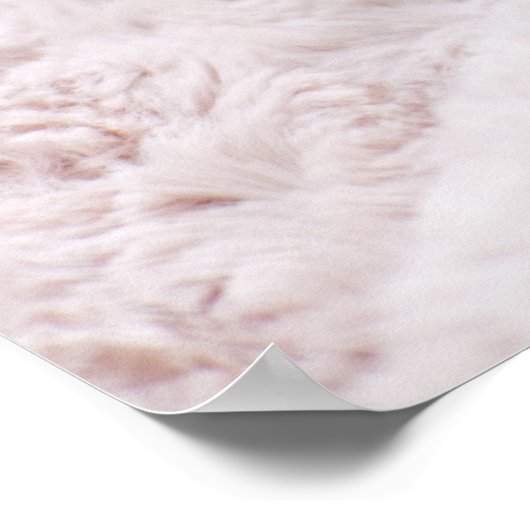 Kitten Sleeping op handdoek Poster (Hoek)