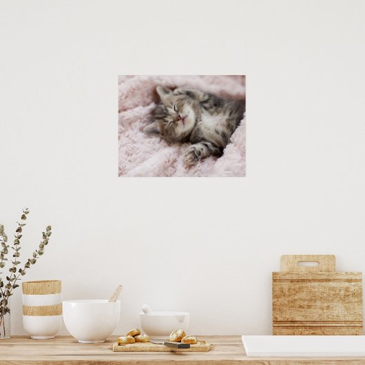 Kitten Sleeping op handdoek Poster (Keuken)