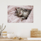 Kitten Sleeping op handdoek Poster (Keuken)
